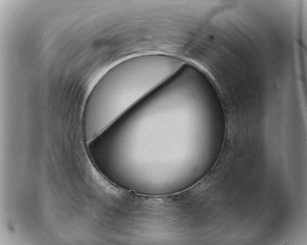 X0000103141524200808221053