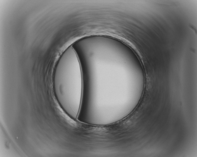 X0000103141525200808221053