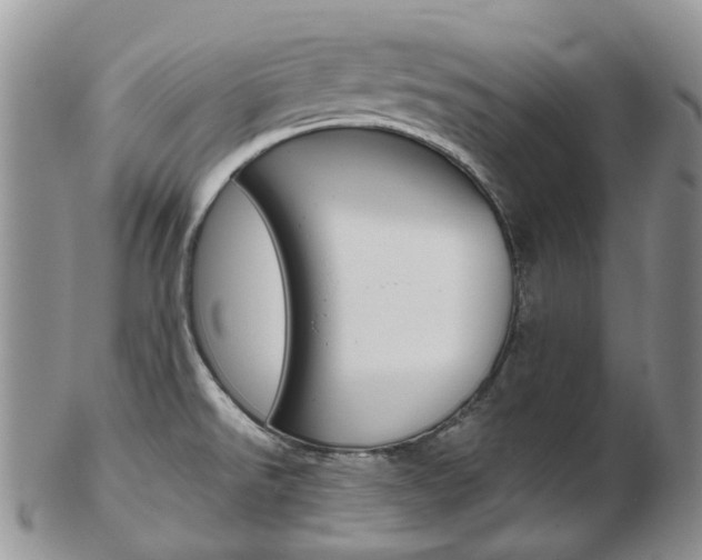 X0000103141526200808221053