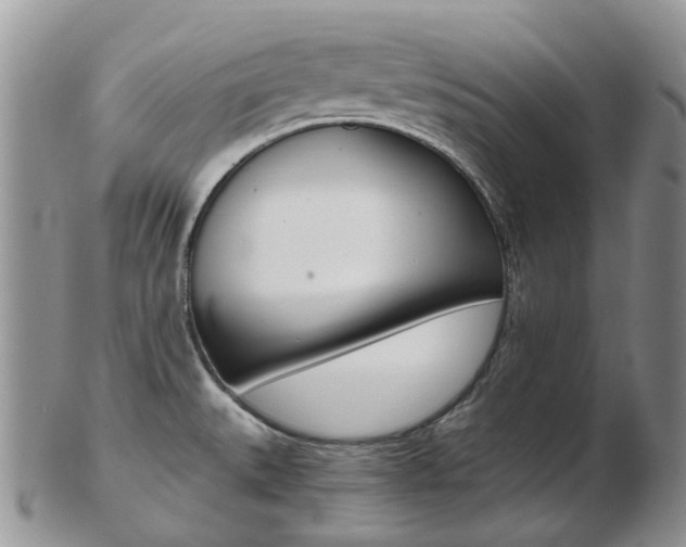 X0000103141527200808221053