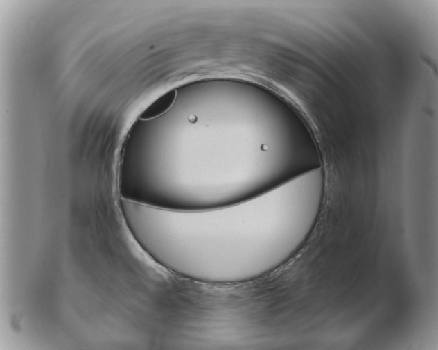 X0000103141528200808221053