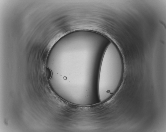 X0000103141529200808221053