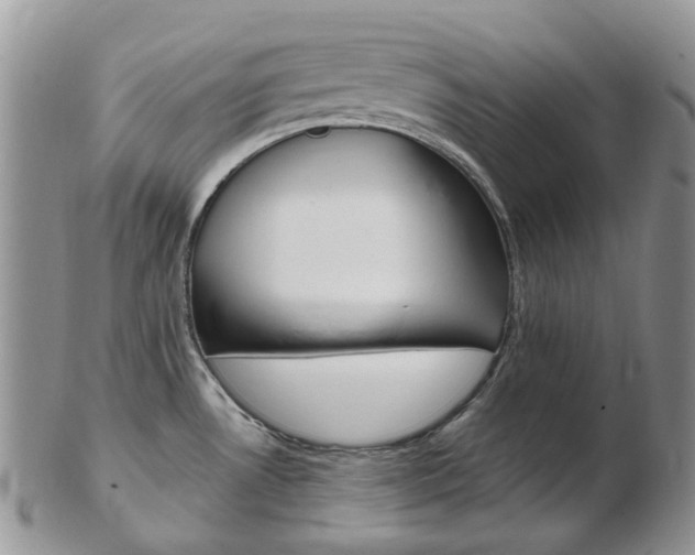 X0000103141530200808221053
