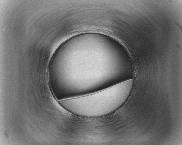 X0000103141531200808221053