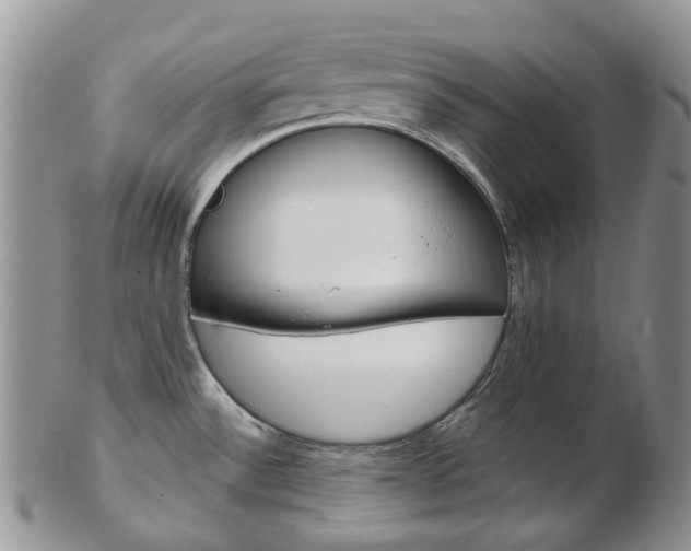 X0000103141532200808221053