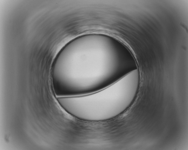 X0000103141533200808221053