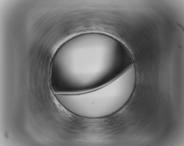 X0000103141534200808221053