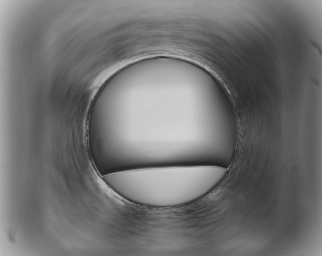 X0000103141535200808221053