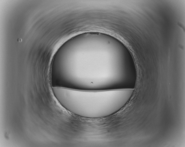 X0000103141536200808221053
