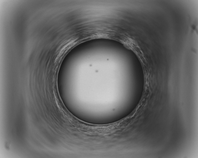 X0000103140001200808221226