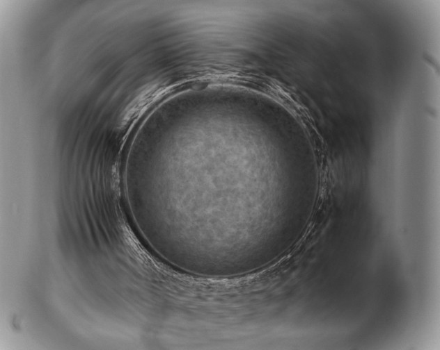 X0000103140002200808221226