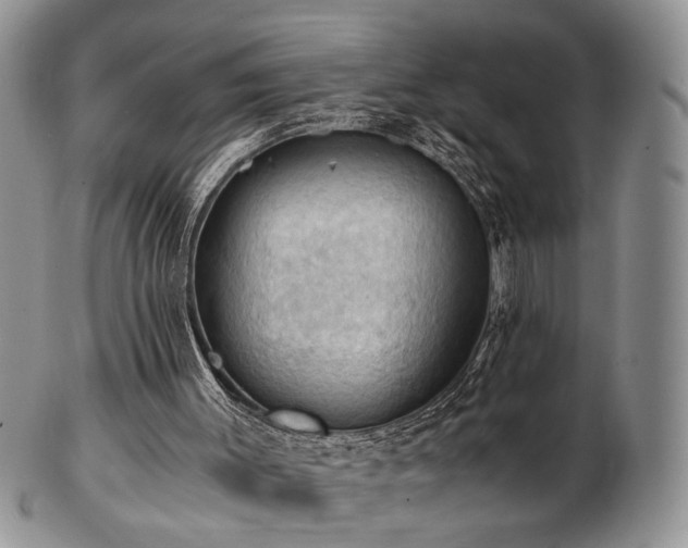 X0000103140003200808221226