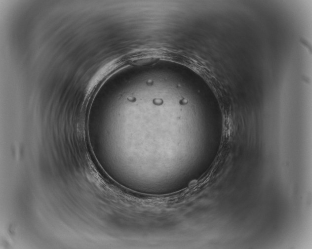 X0000103140004200808221226