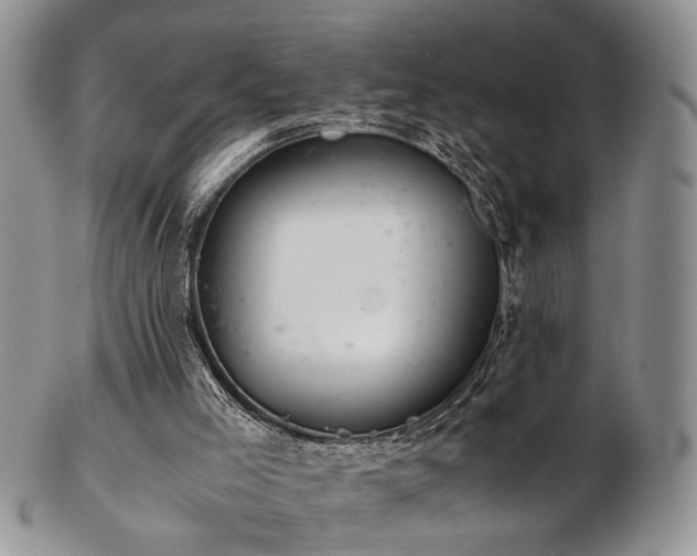 X0000103140005200808221226