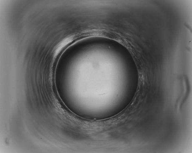 X0000103140006200808221226