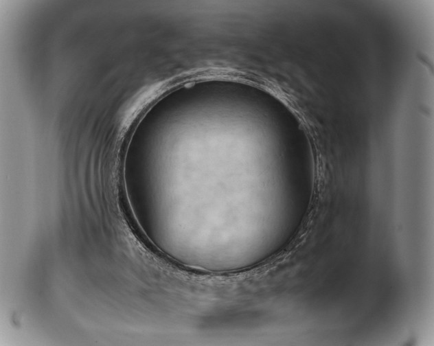 X0000103140007200808221226