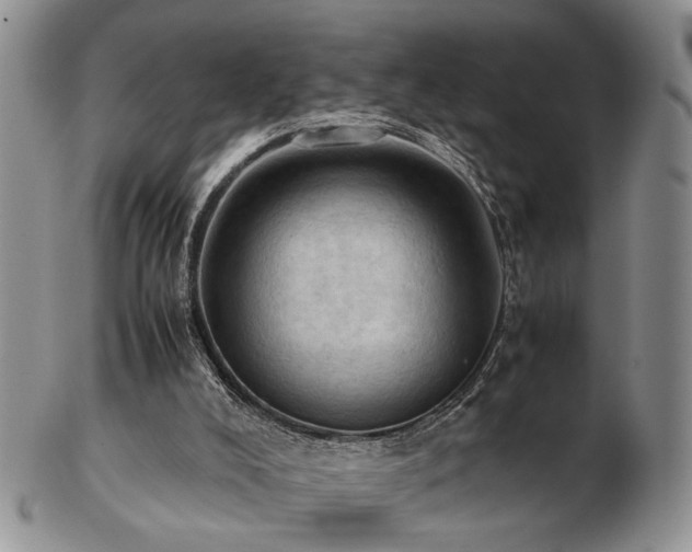 X0000103140008200808221226