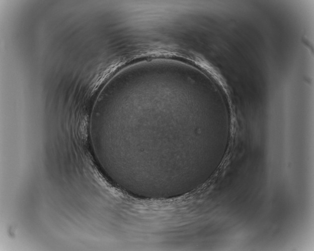 X0000103140009200808221226