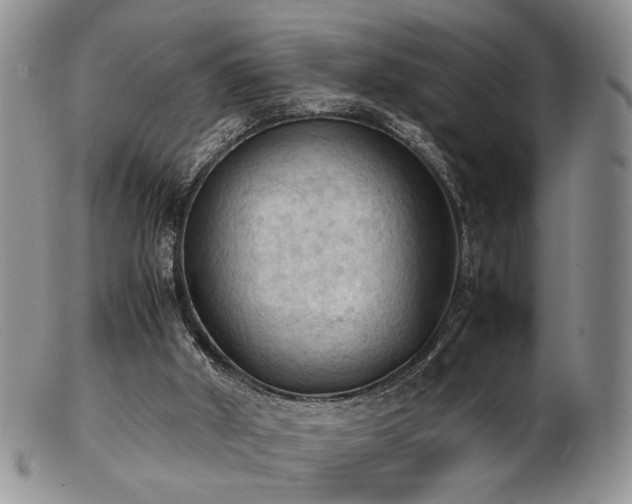 X0000103140010200808221226