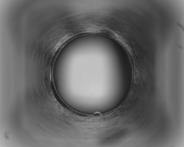 X0000103140011200808221226