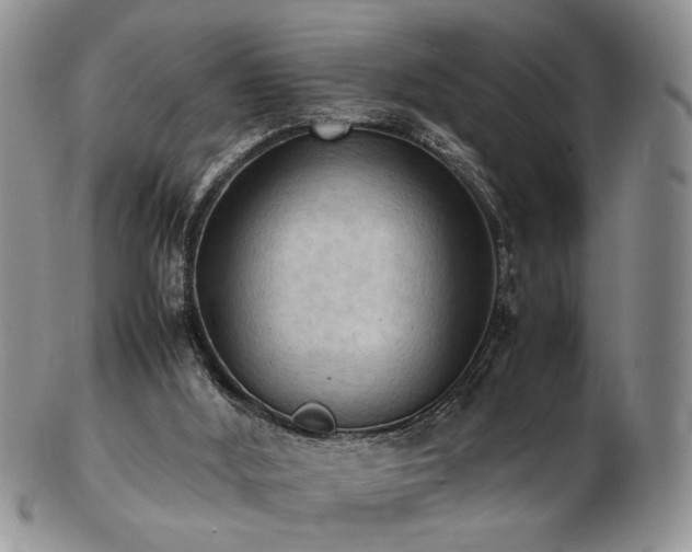 X0000103140012200808221226