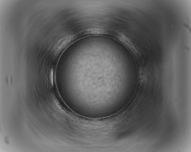 X0000103140014200808221226