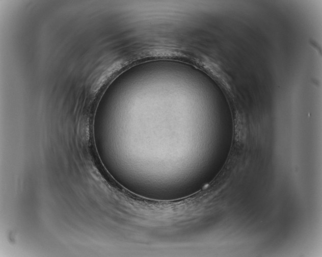 X0000103140015200808221226