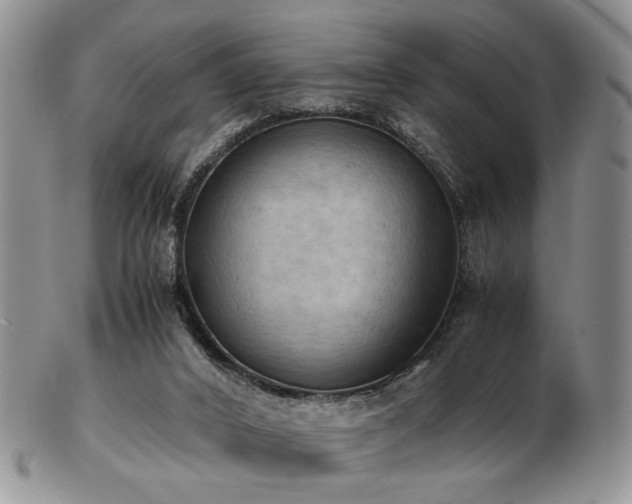 X0000103140016200808221226