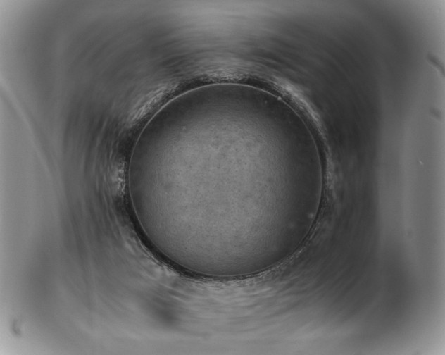 X0000103140017200808221226