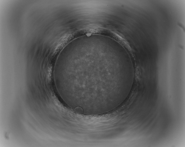 X0000103140018200808221226