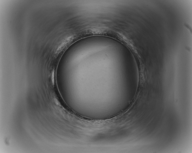 X0000103140019200808221226