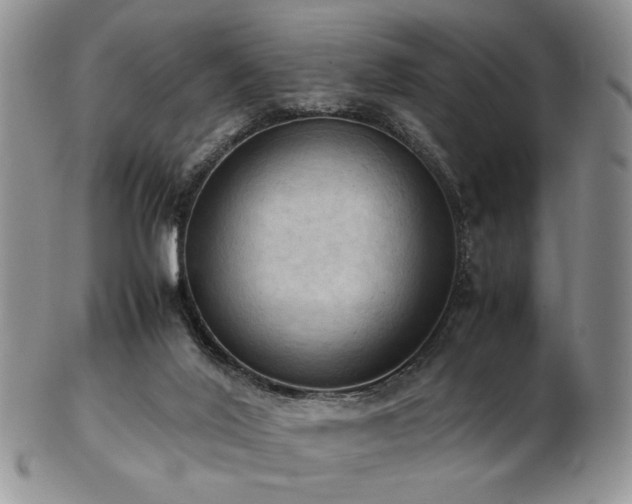 X0000103140020200808221226