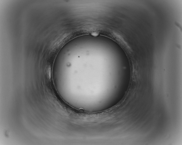 X0000103140021200808221226