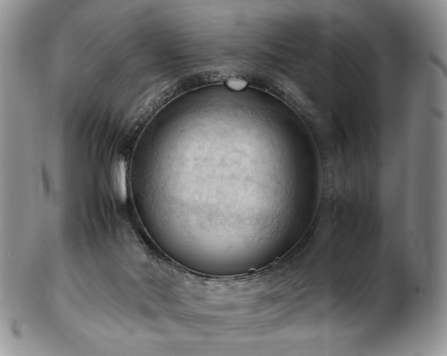 X0000103140022200808221226