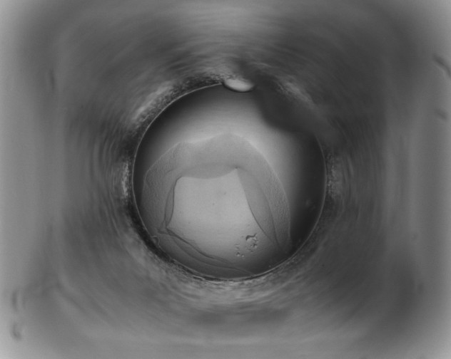 X0000103140023200808221226