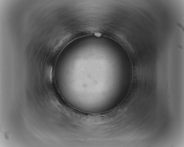 X0000103140024200808221226