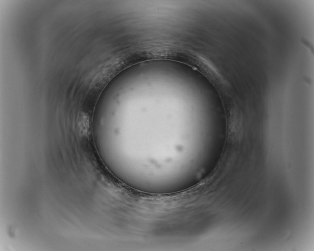 X0000103140025200808221226