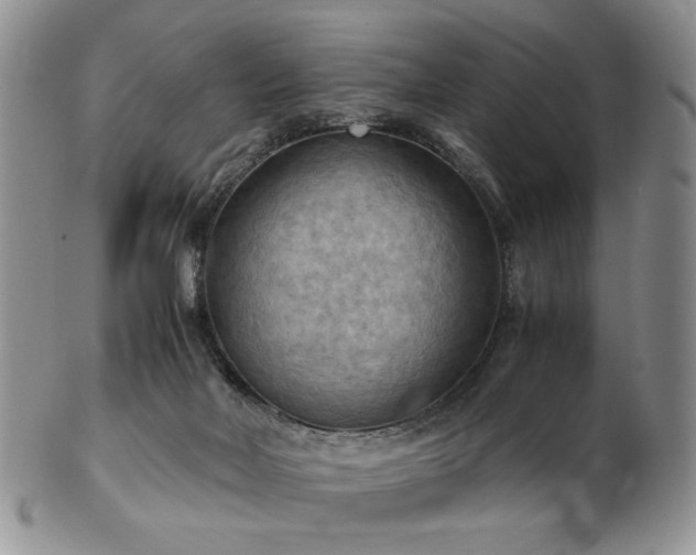 X0000103140026200808221226