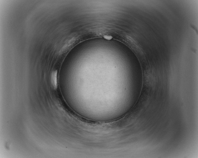 X0000103140028200808221226