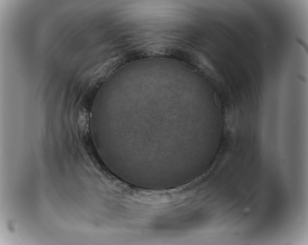 X0000103140029200808221226