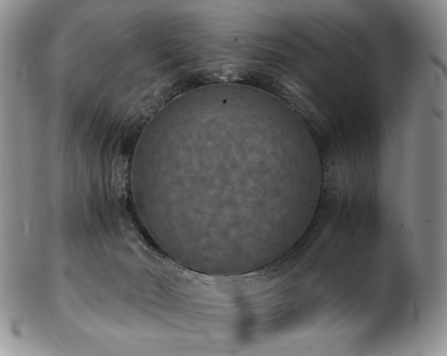 X0000103140030200808221225