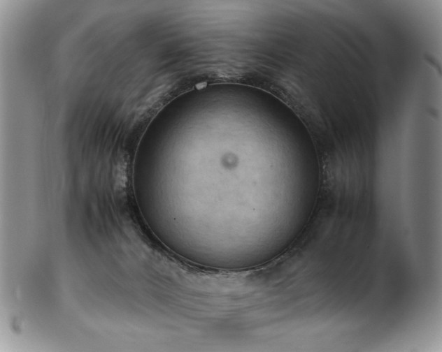 X0000103140032200808221225