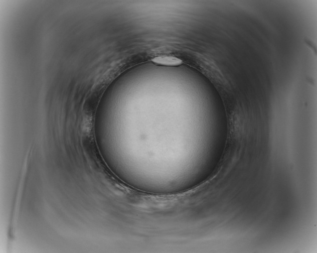 X0000103140033200808221225