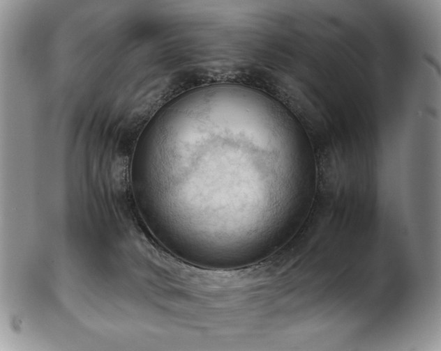 X0000103140034200808221225