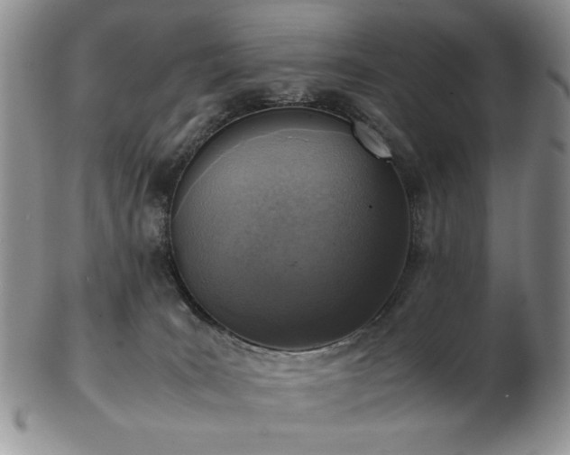 X0000103140035200808221225