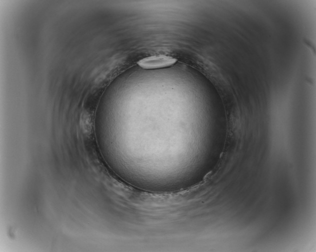 X0000103140037200808221225