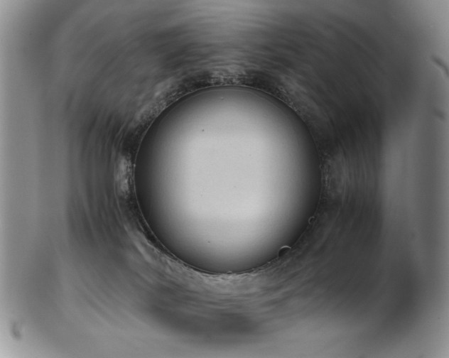 X0000103140038200808221225