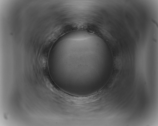 X0000103140039200808221225