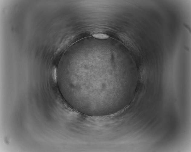 X0000103140041200808221225