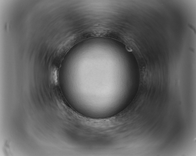 X0000103140042200808221225